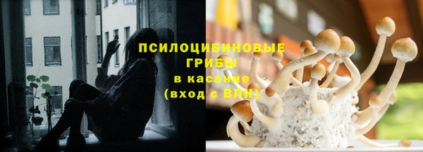таблы Нея