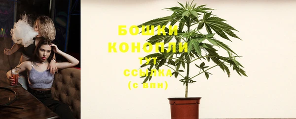 ECSTASY Нефтекумск