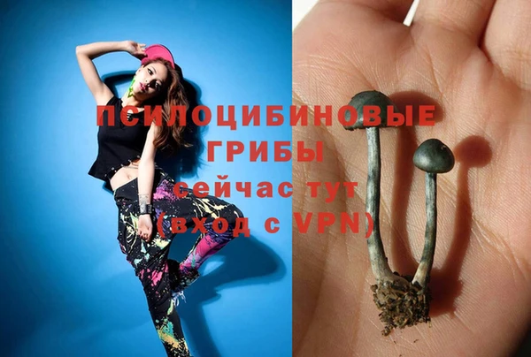 спайс Нефтегорск