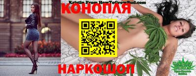 эйфоретик Будённовск
