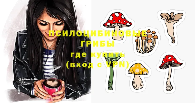 Галлюциногенные грибы Magic Shrooms  даркнет сайт  Губаха 