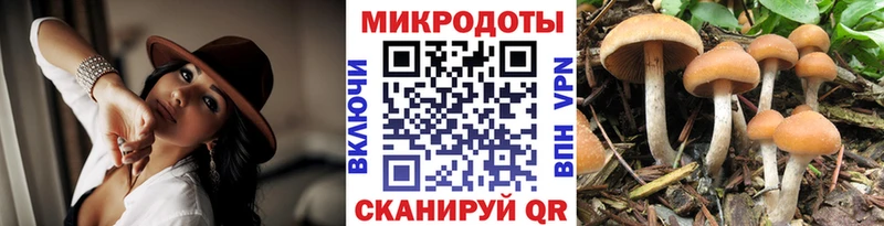 где купить   кракен маркетплейс  Псилоцибиновые грибы прущие грибы  Губаха 