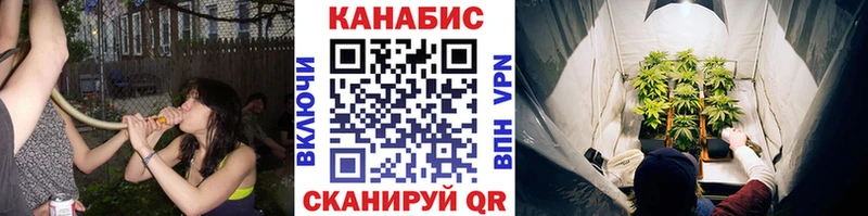 купить  сайты  ссылка на мегу ссылка  Бошки Шишки THC 21%  Губаха 